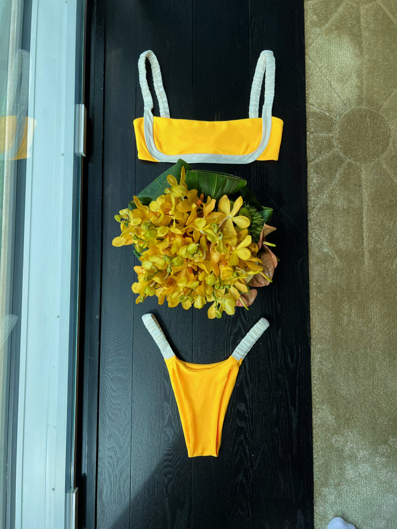 Dandelion Top